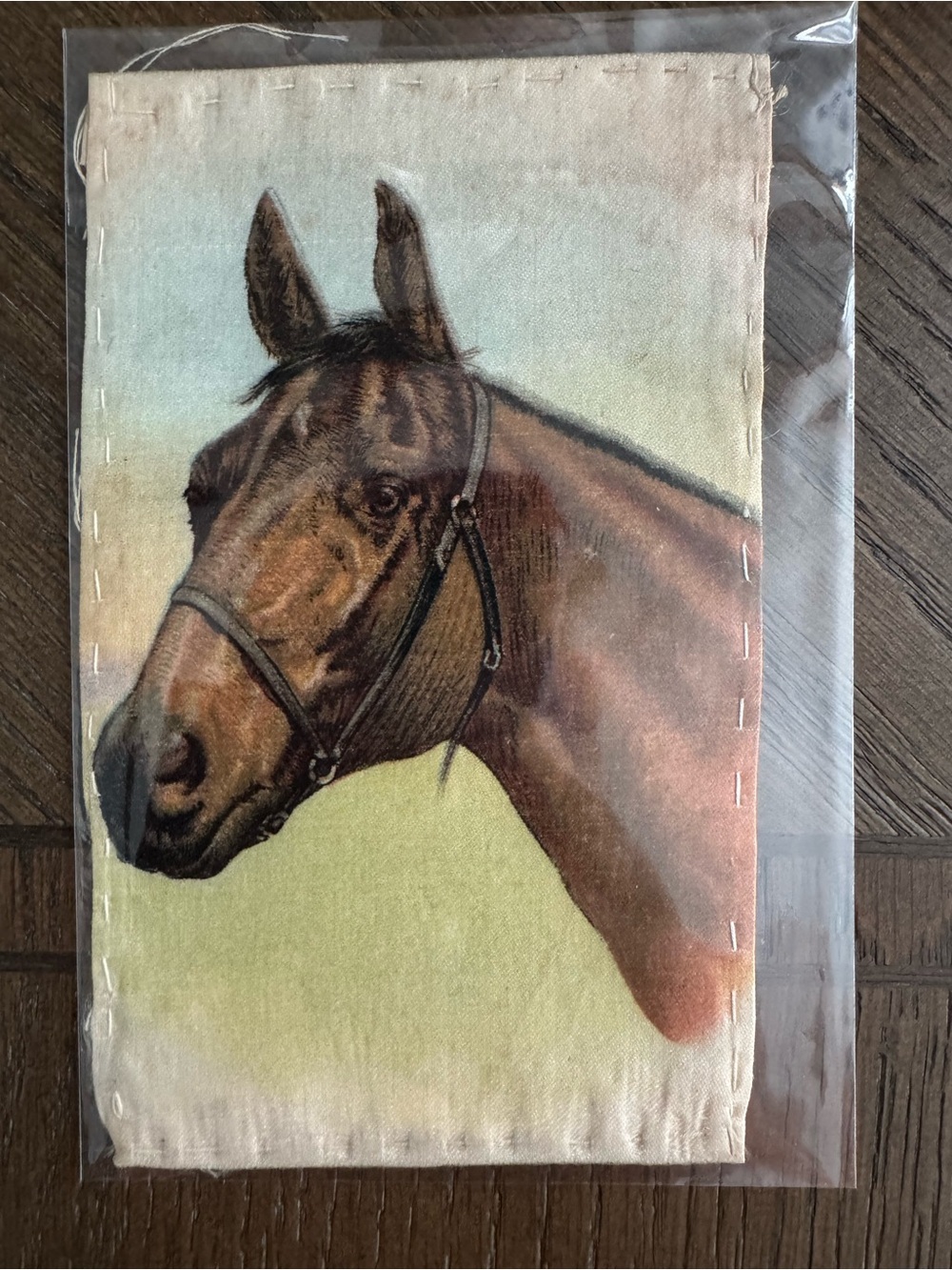 Vintage 1900s Tobacco Silk Art Panel